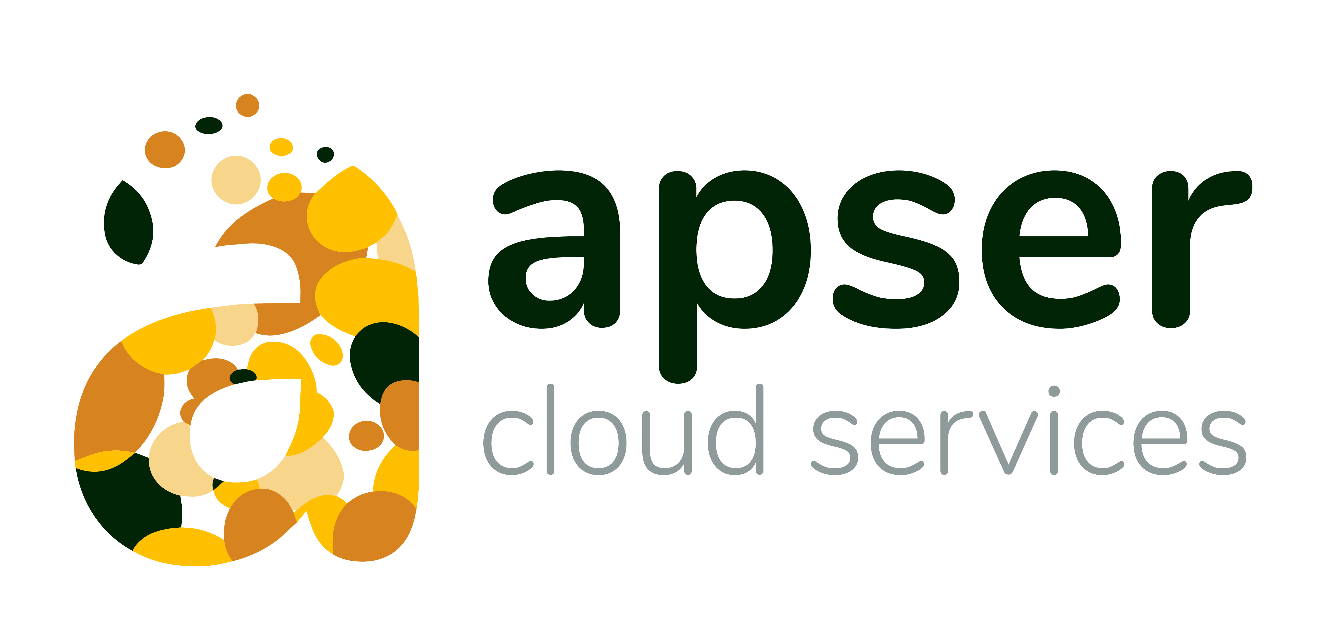 apser – Cloud Computing